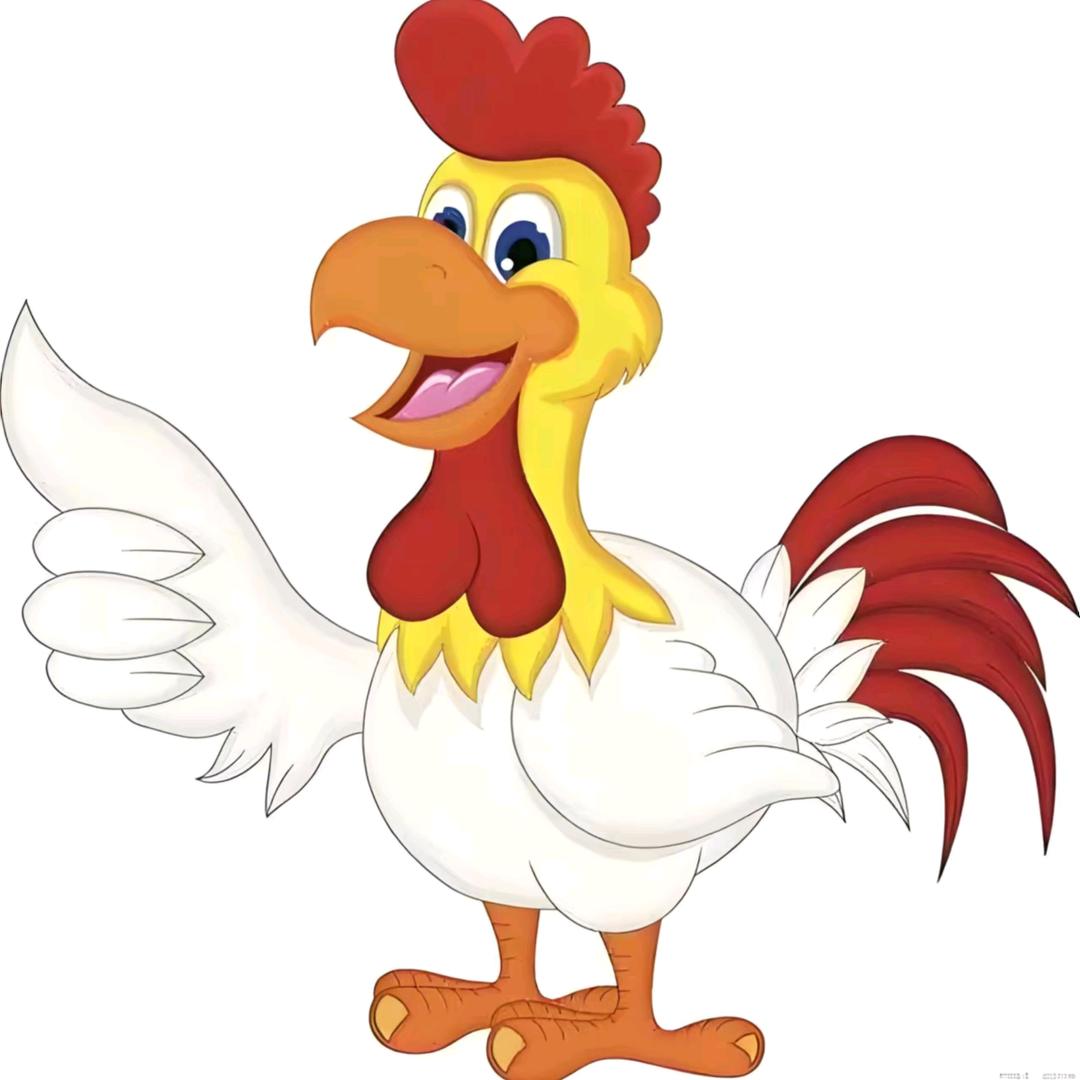 临沂汽配城正北门夜市炒鸡