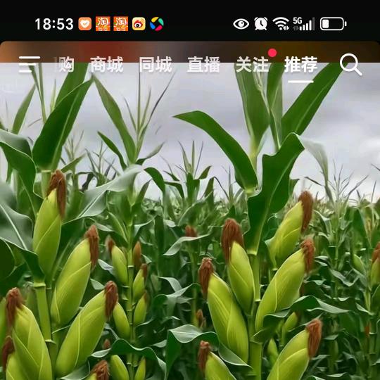 开心过好每一天