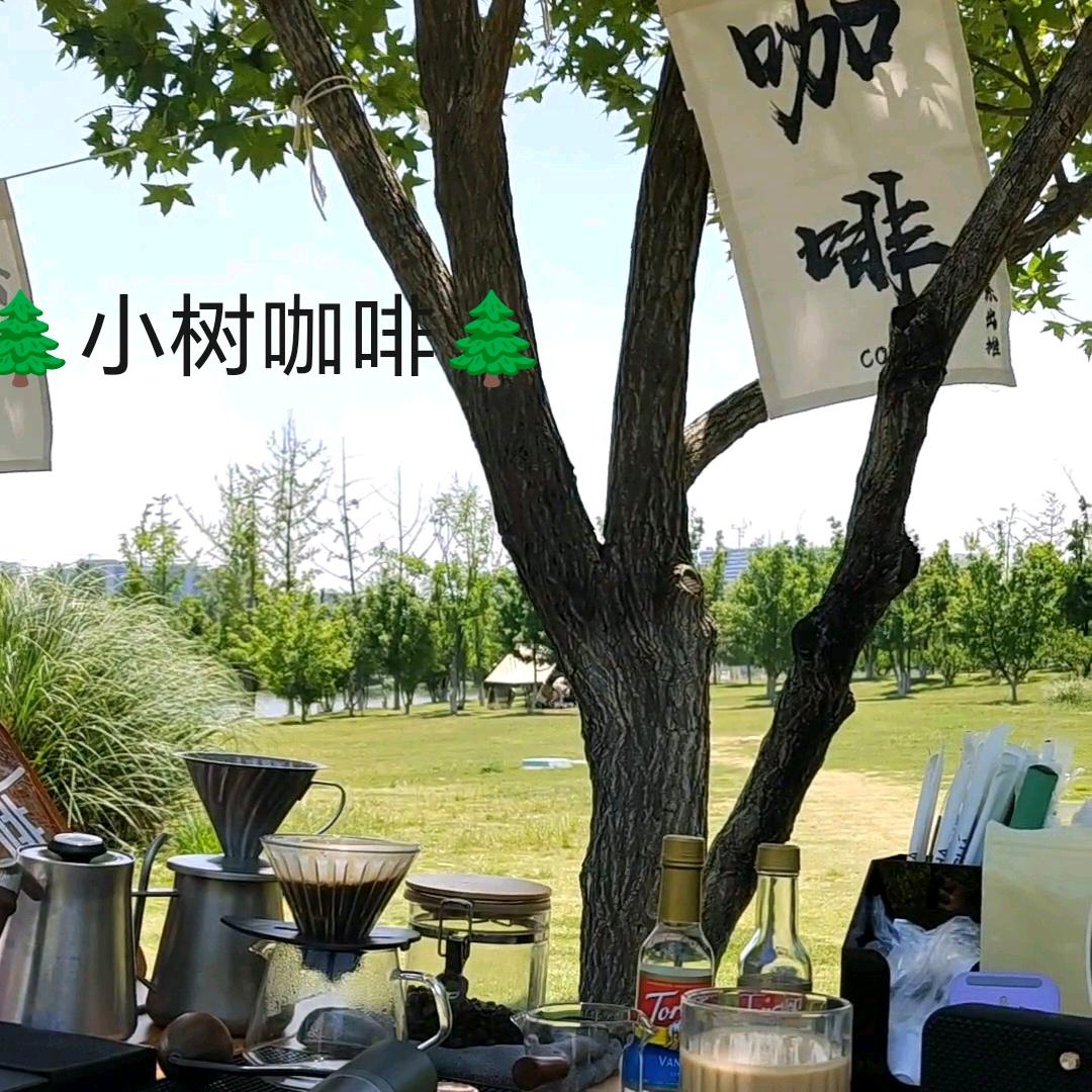 小树咖啡