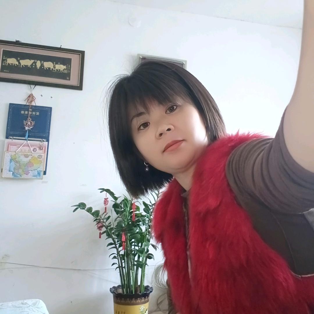 紫和姐(晚11：20开播)