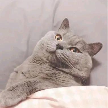 得过且过，贪多取祸