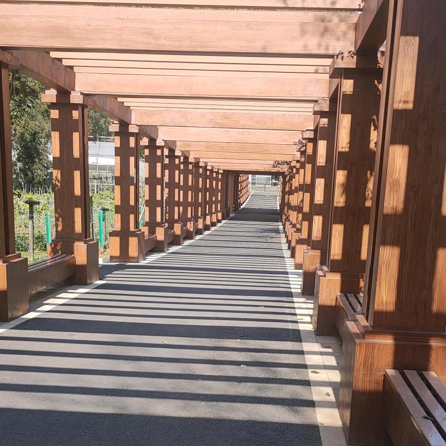 ⊙∀⊙！⊙∀⊙！