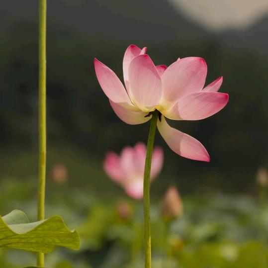 026