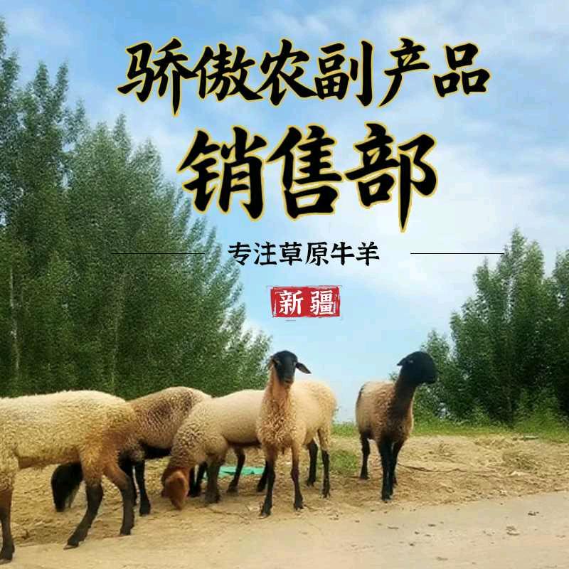 骄傲农副产品销售部