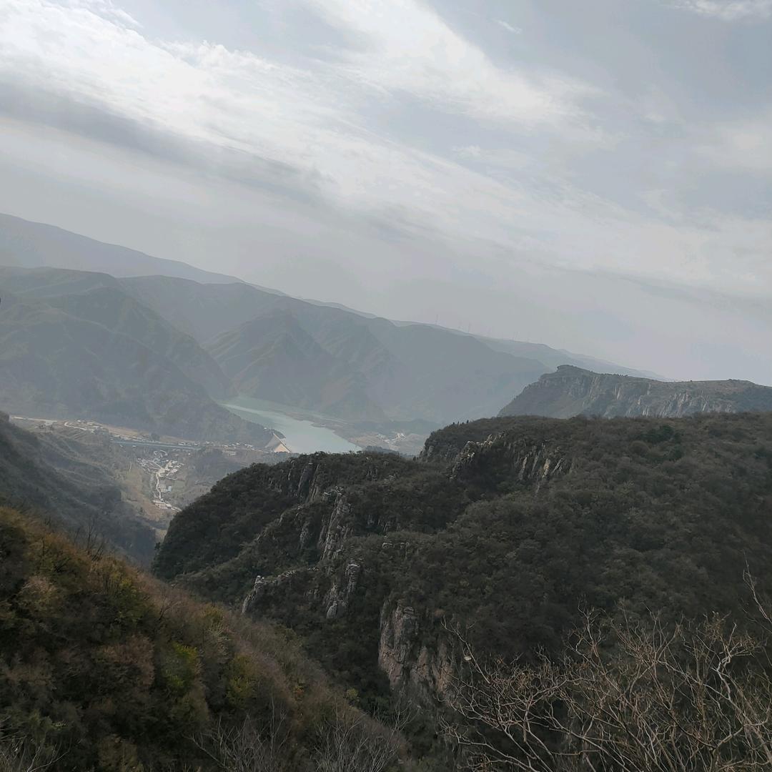 伤心跃木