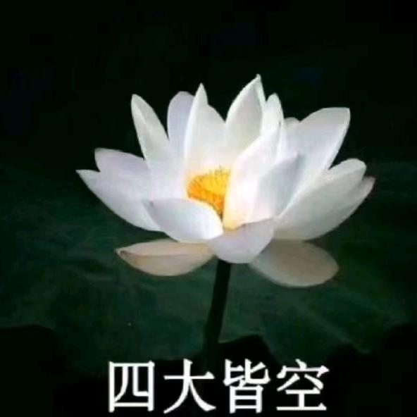 敏敏
