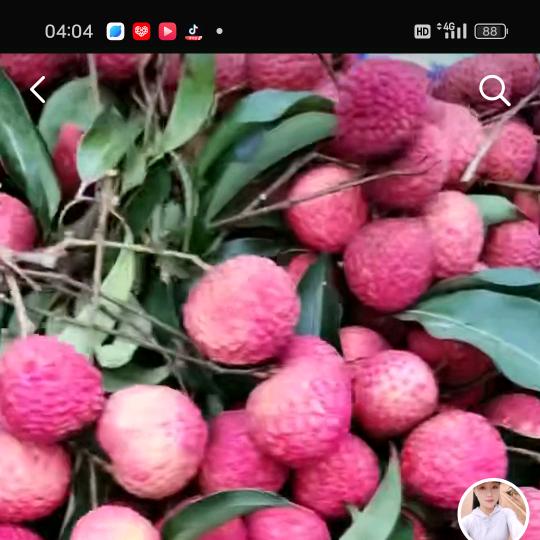 许光，过好一天算一天