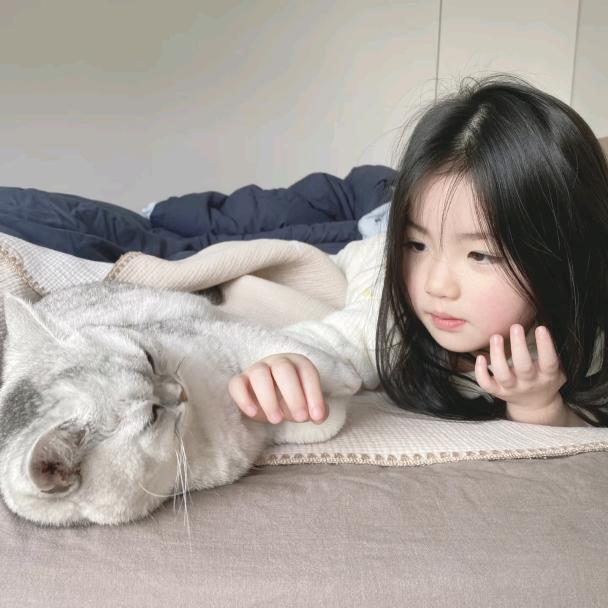 会平地摔的小说女猪