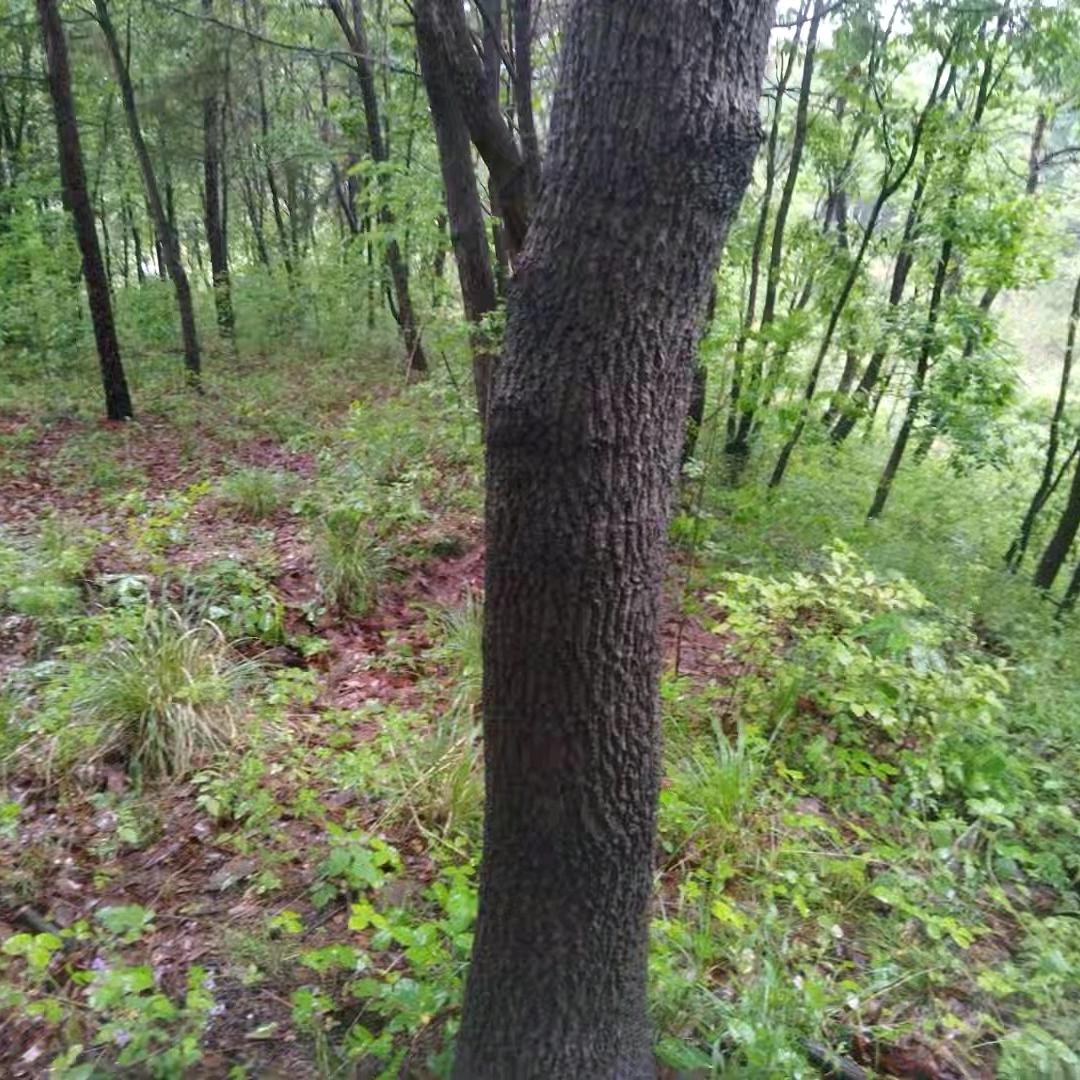 握不住的沙直接扬了它