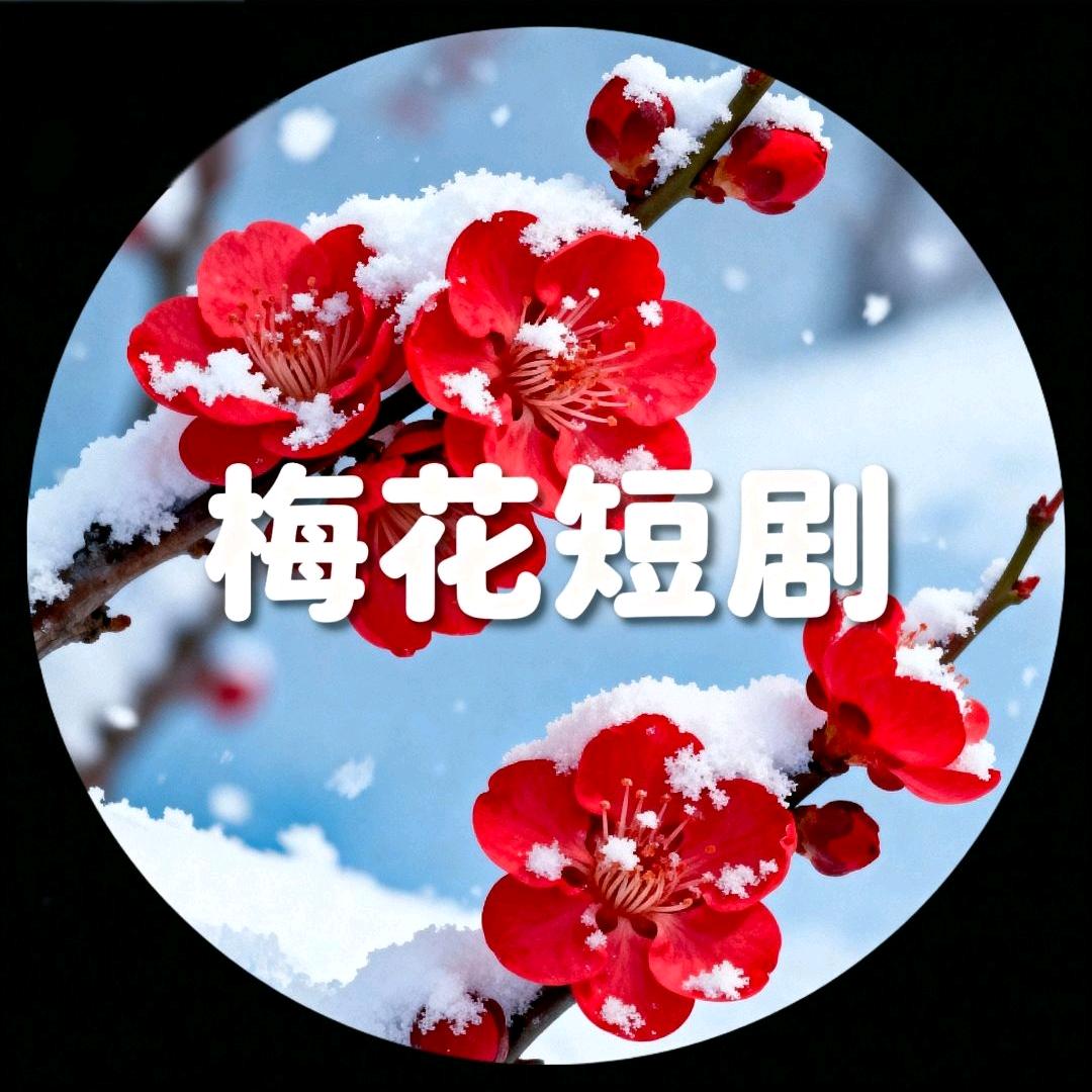 梅花短剧