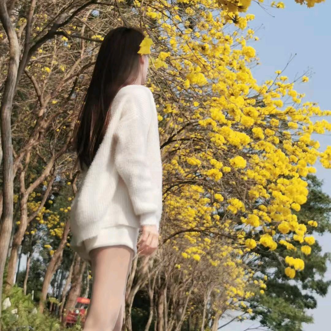 @Zy柠