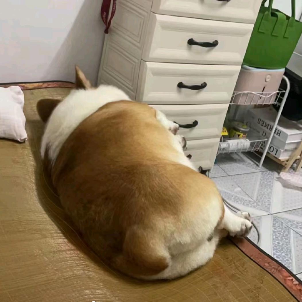 小张二手旧货回收买卖