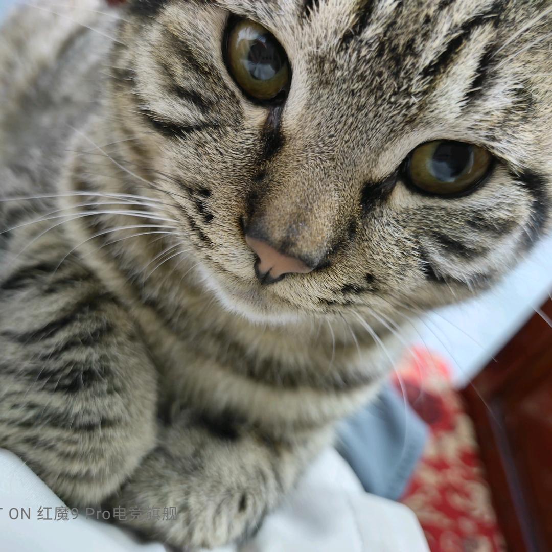 小兰恶霸( ๑ŏ ﹏ ŏ๑ )