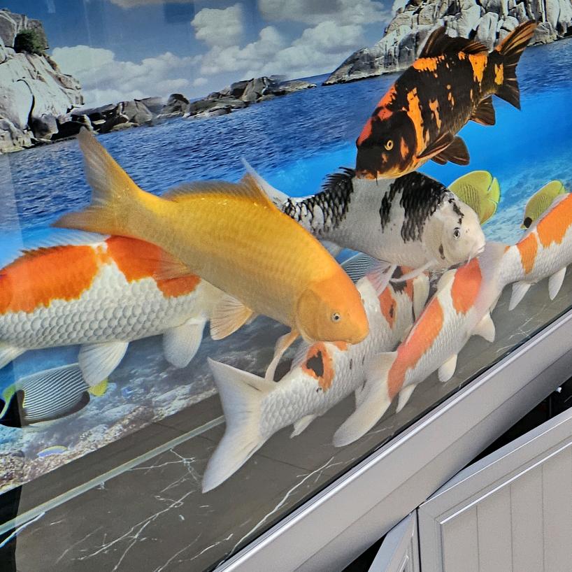 幸福快乐一家人