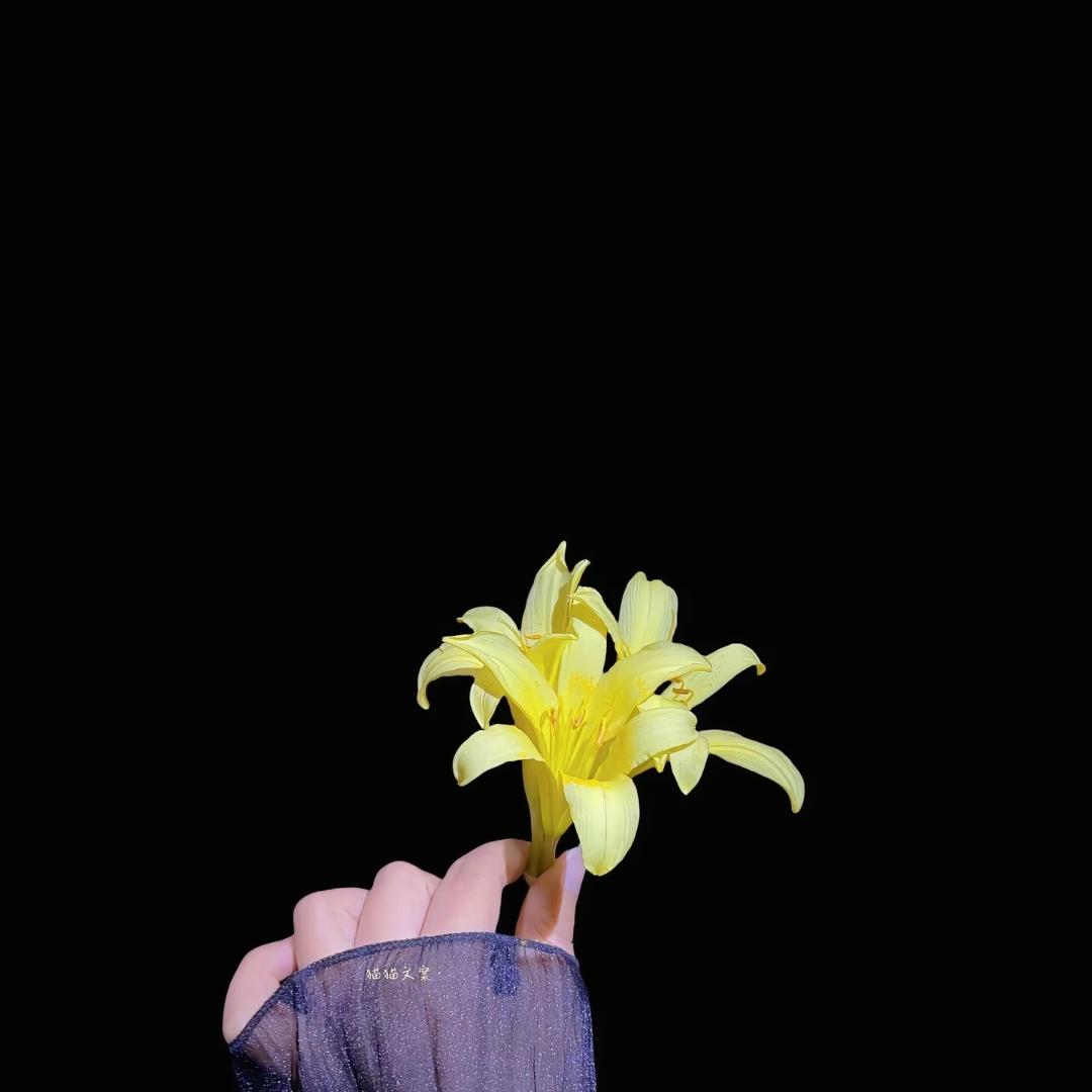 无情的温柔