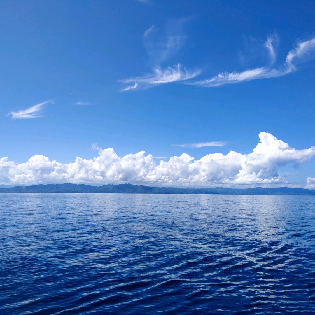 海洋经济推动者