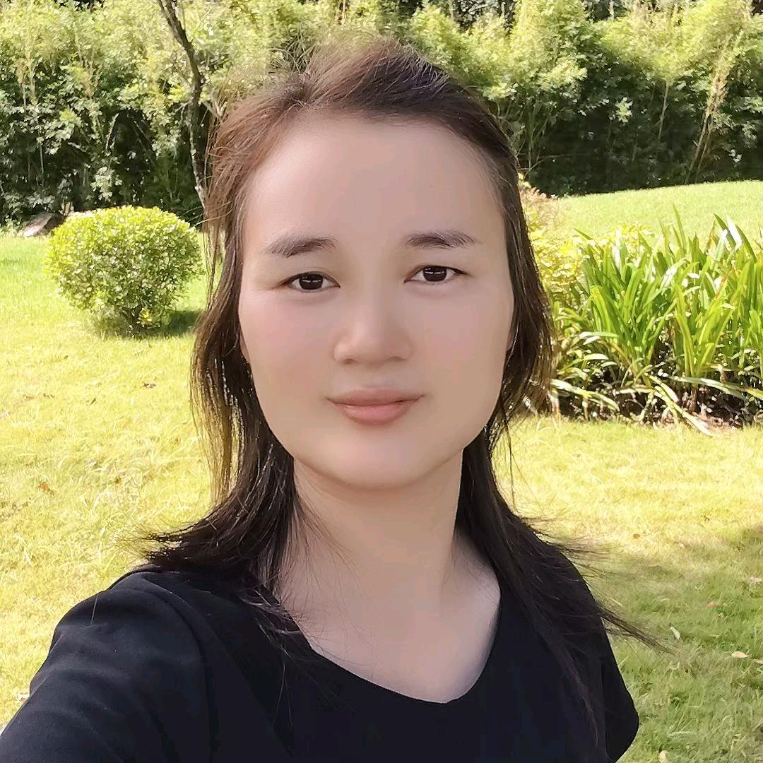 新能源货车 李经理