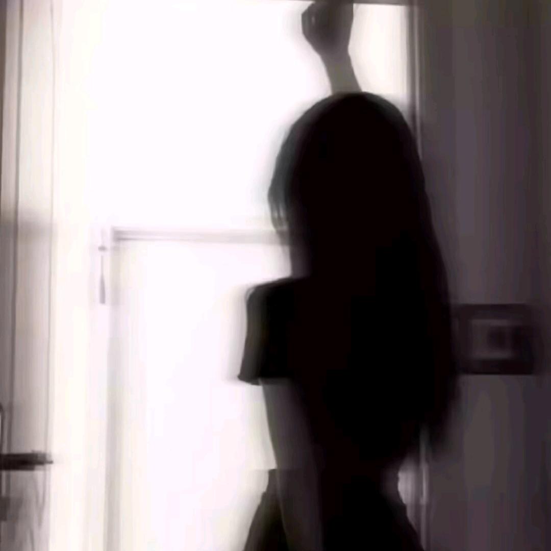 领航佰科