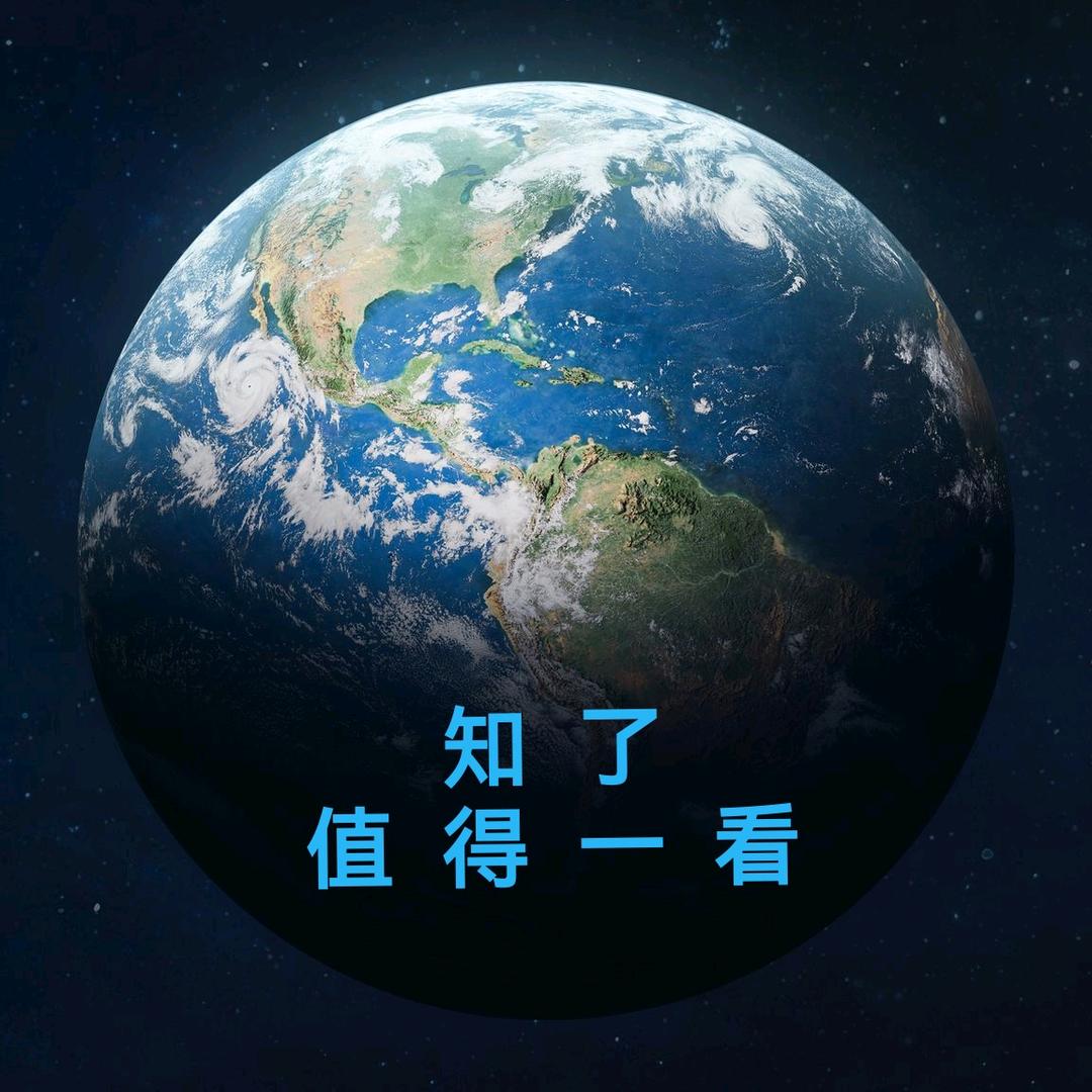 知了🌈一看
