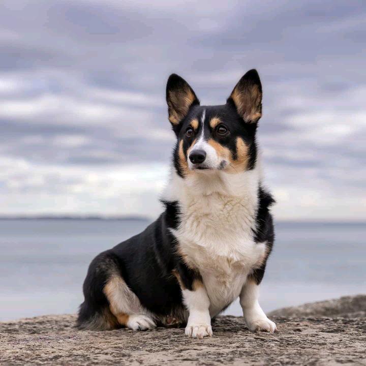 缇巷甄选同城送
