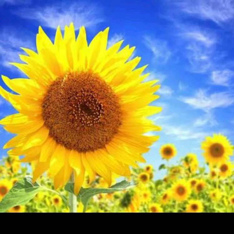 展望未来_232462778