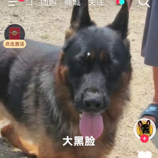 78676005555