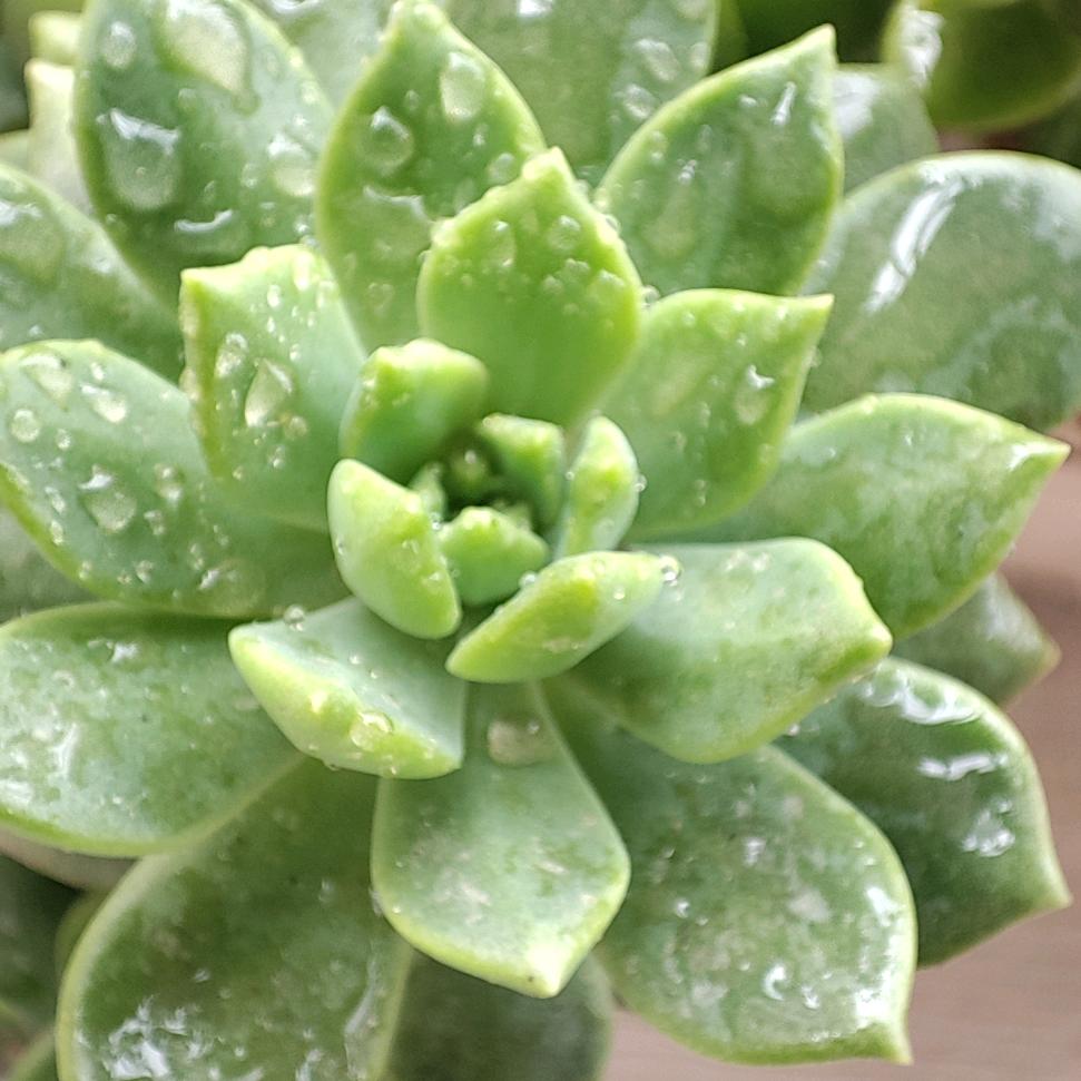未来可期加油