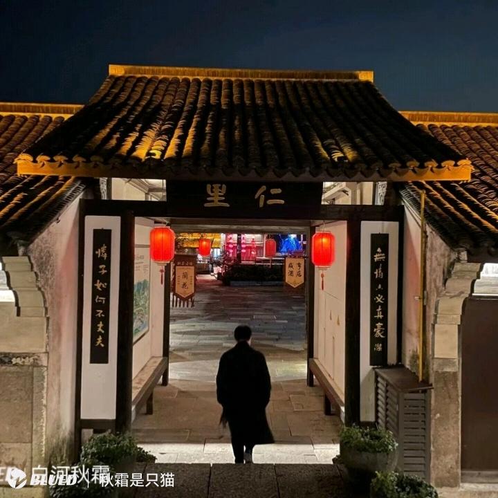 秋霜是只猫