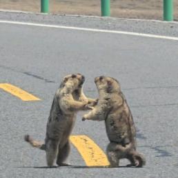 江海寄余生☀️