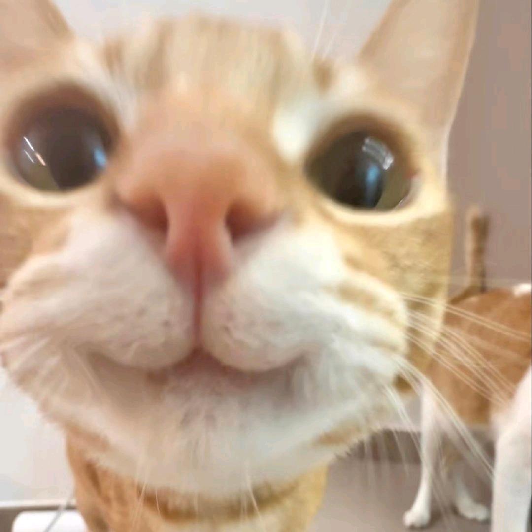 湖南马嘉祺（超绝肌肉线条版