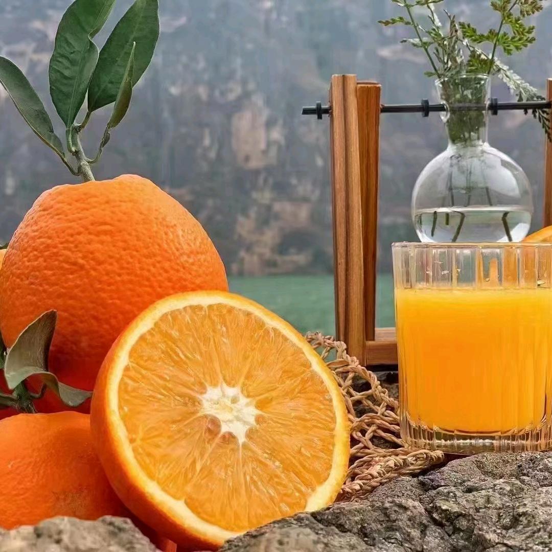 万物生生态农业