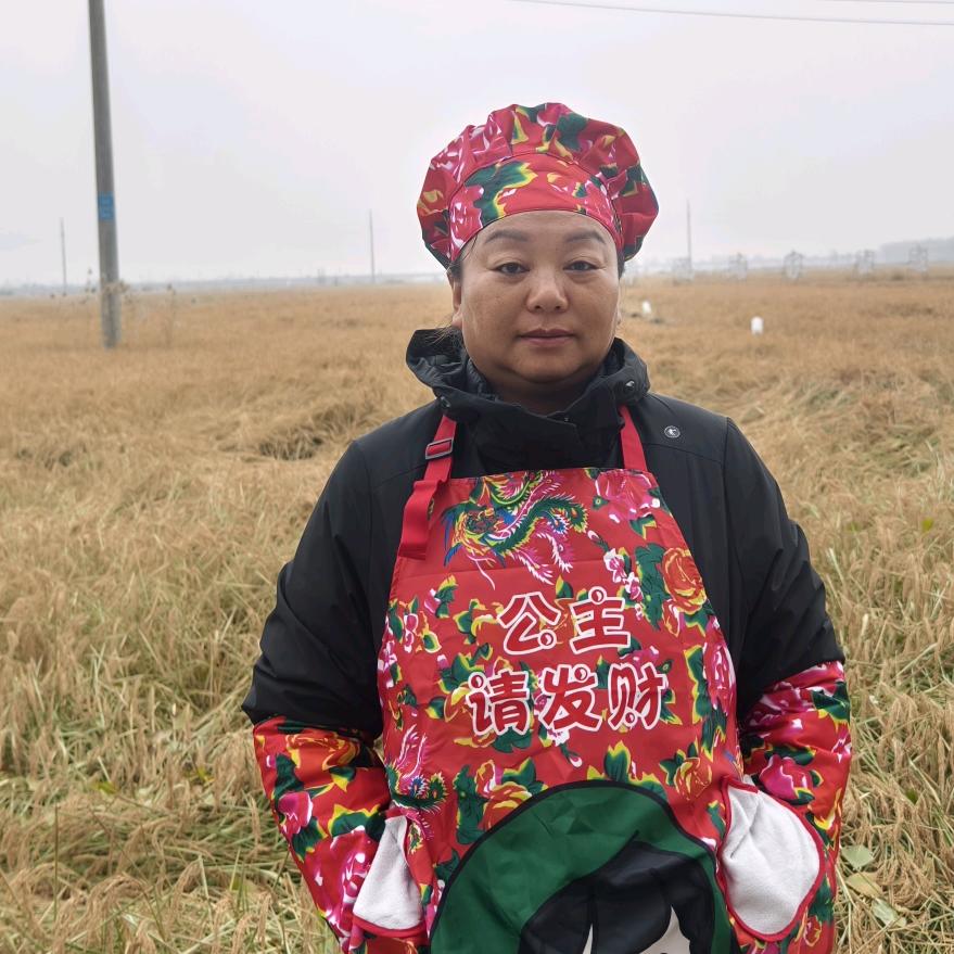 盘锦玲珑姐(三农)