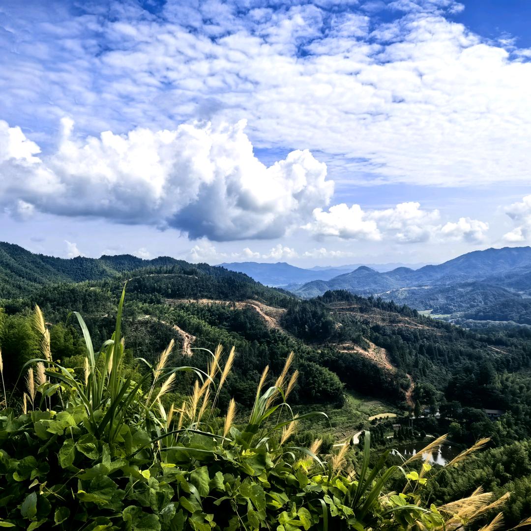 你好呀
