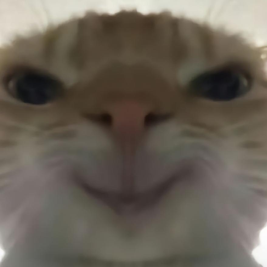 🌻腾腾