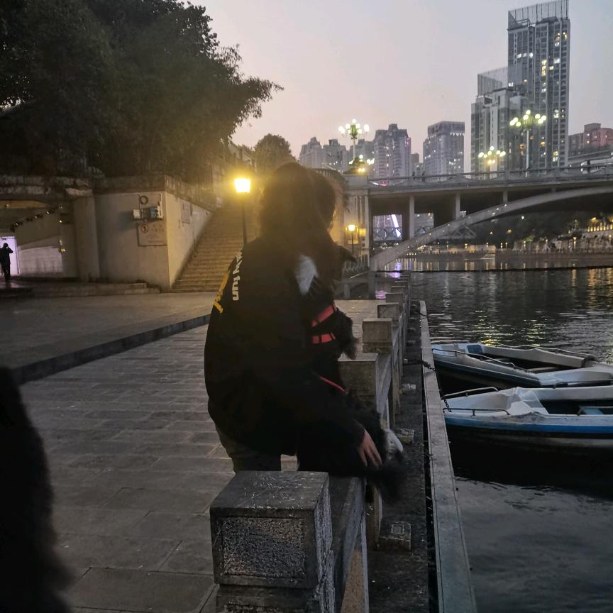 哎呀妈呀