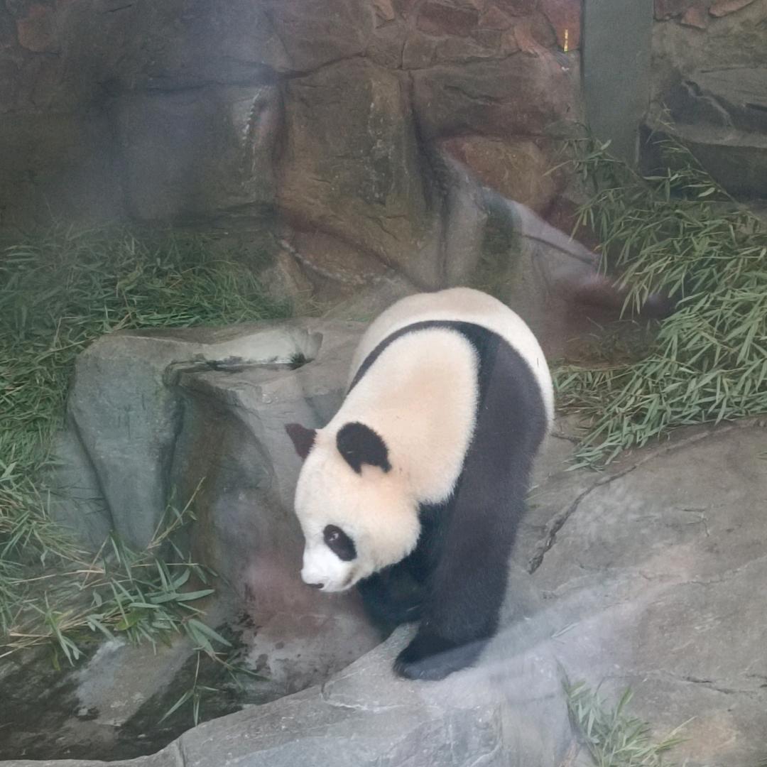 无私