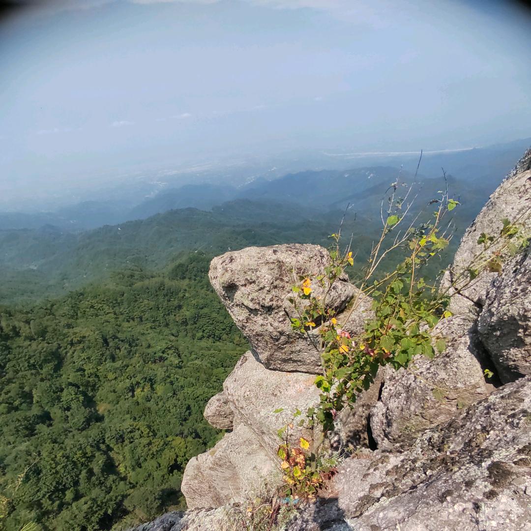 快乐宝贝老农人的小店