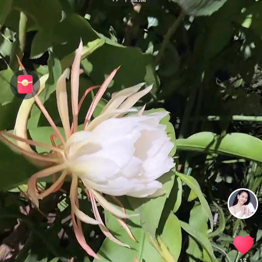 孤独的小孩