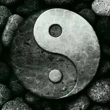 周期之道