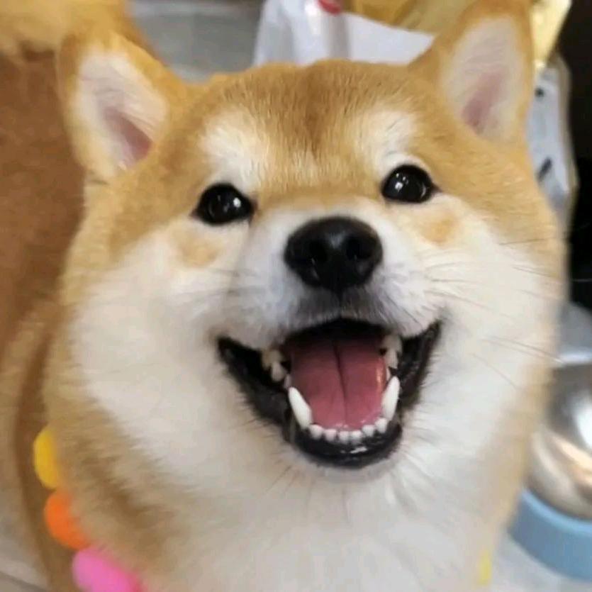 热心网友