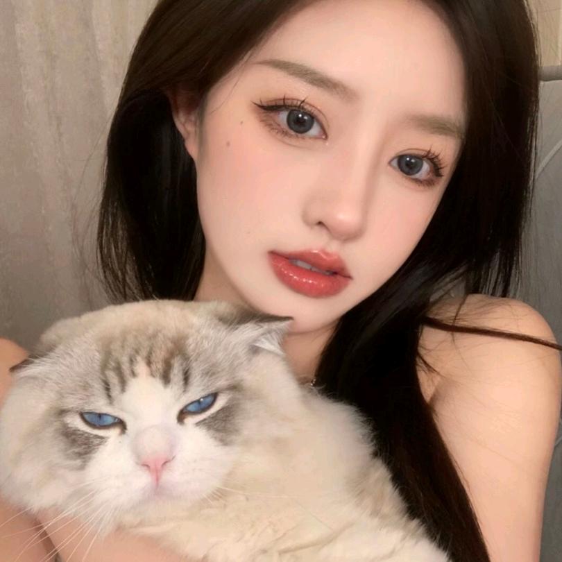 困乏小猫🐱