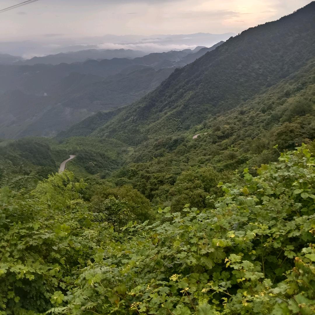 用户1314《我爱你》