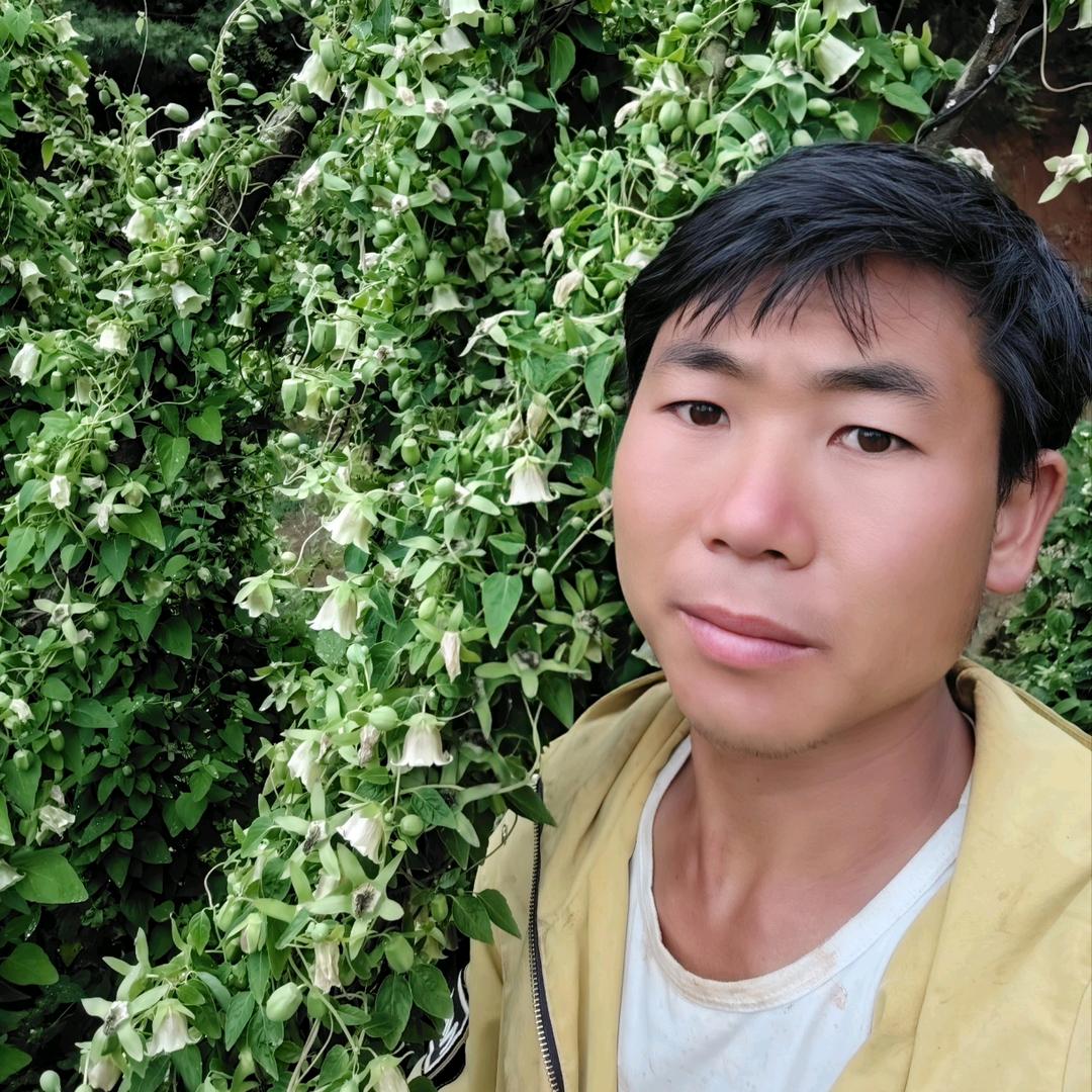 农村中药材《种植》推广者