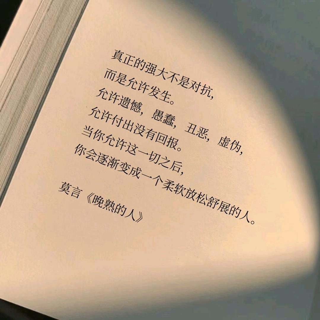 毒土豆已发芽头像