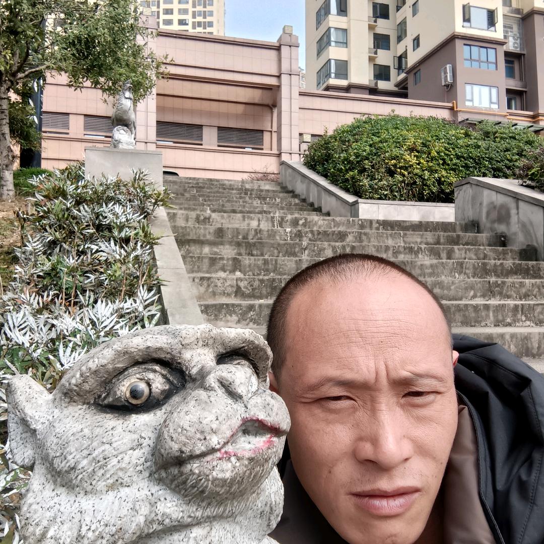 三丰子🤸