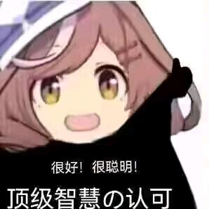 bvvd飞马