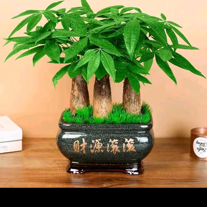 🌈深情不负不离不弃