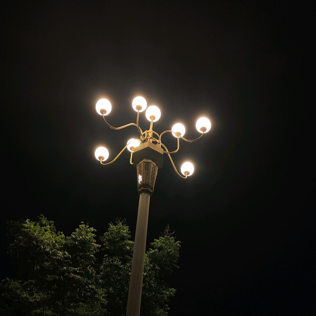 故事的小黄花🌼