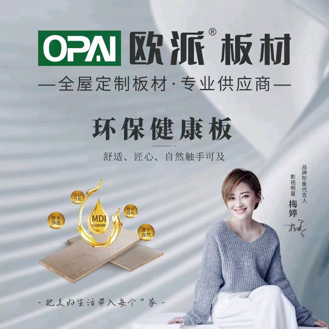 欧派，好太太板材全屋定制