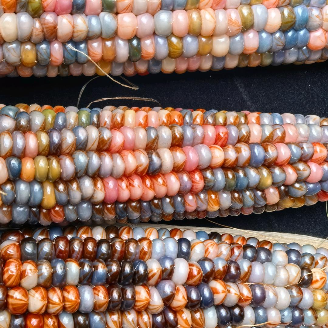 海南小包文玩玉米种植